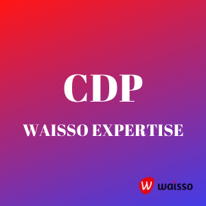 customer data platform cdp expertise waisso