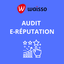 pourquoi audit e-reputation entreprise waisso
