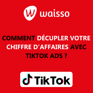 webinar waisso tiktok keepcool comment décupler votre chiffre d'affaires avec tiktok ads