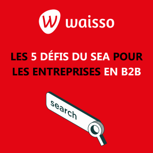 5 défis du sea entreprises b2b agence acquisition digitale waisso