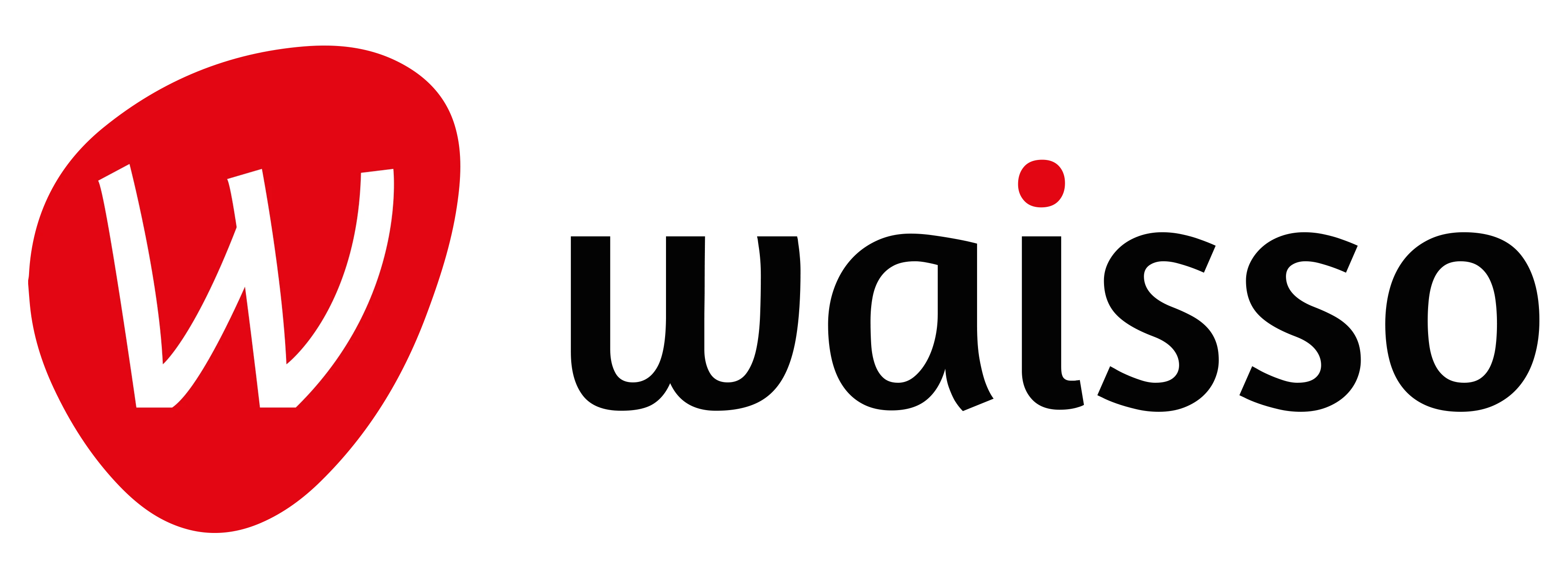 agence marketing digital waisso paris acquisition crm data