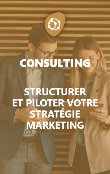 agence waisso consulting conseil en marketing digital