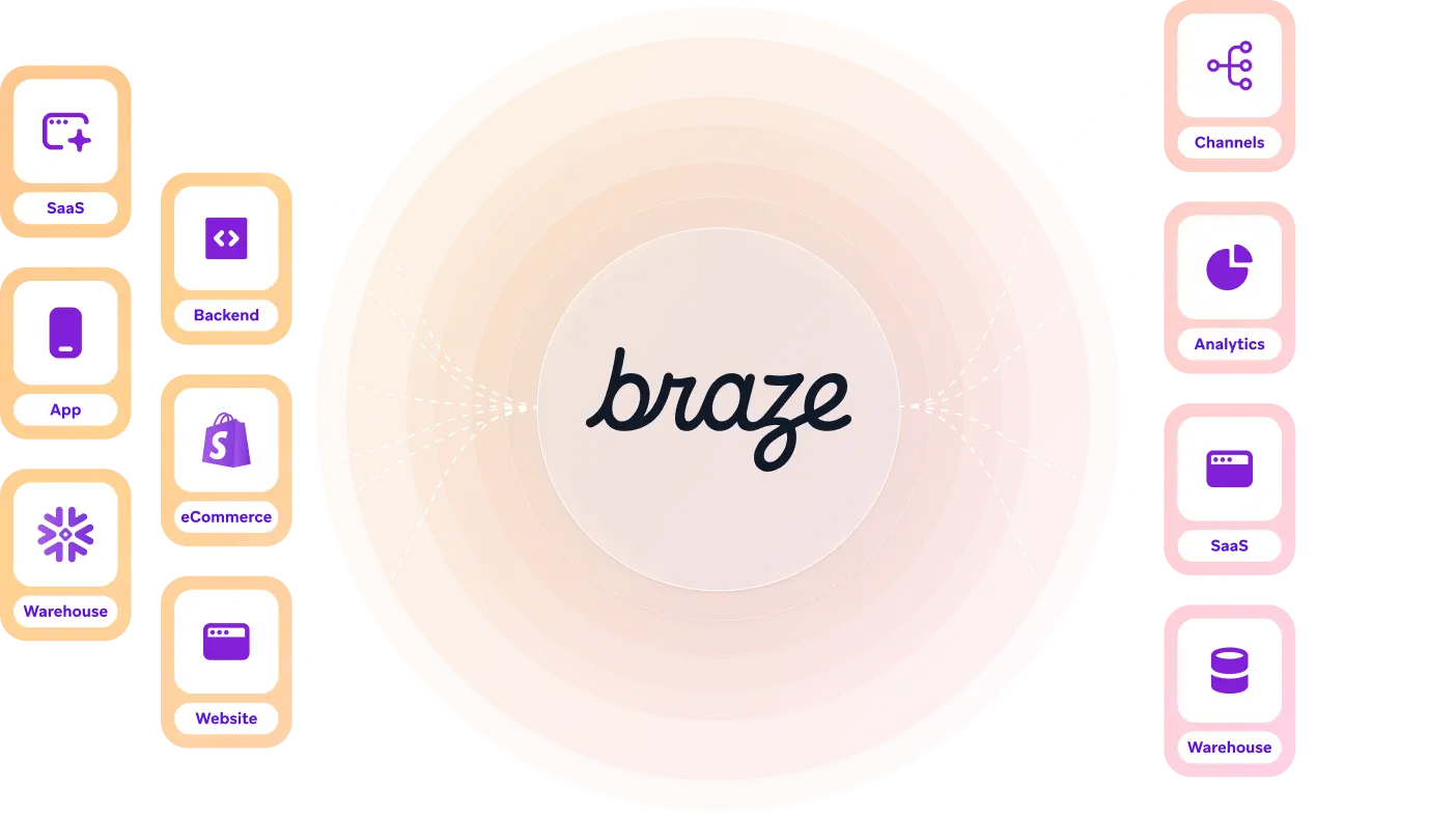 braze data platform marketing