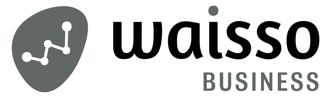 logo agence waisso business