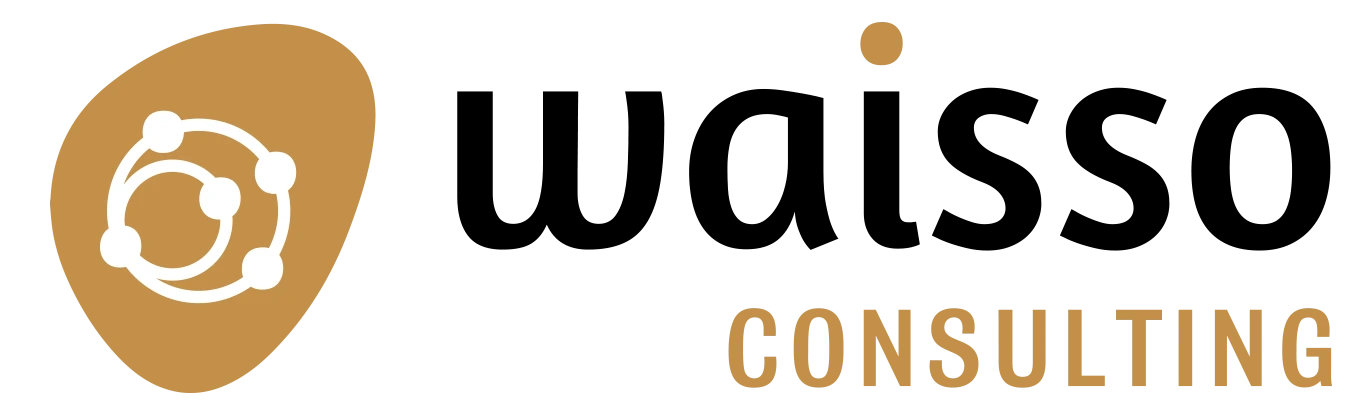 logo agence waisso consulting