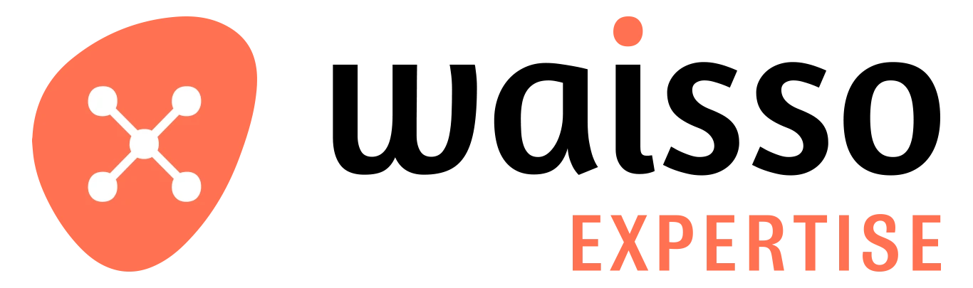 logo agence waisso expertise