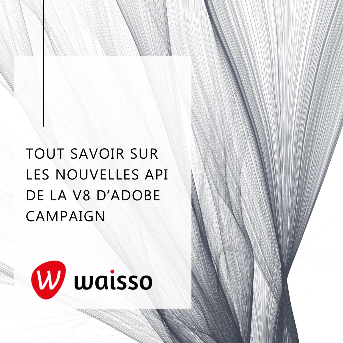 nouvelles api v8 adobe campaign