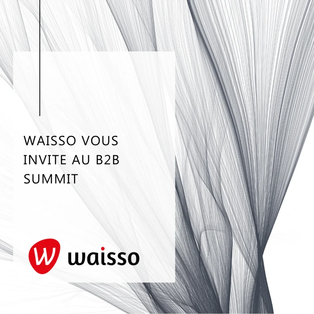 waisso b2b summit